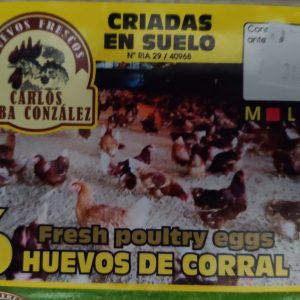 6 Huevos de Corral